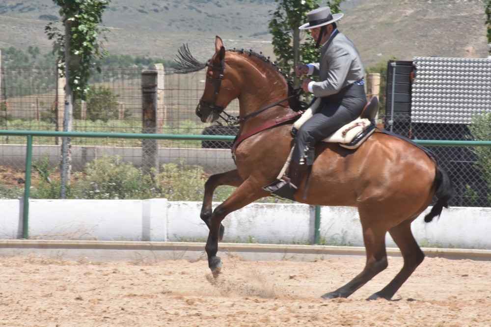 Once binomios alzaron el tel&oacute;n de la Doma Vaquera.